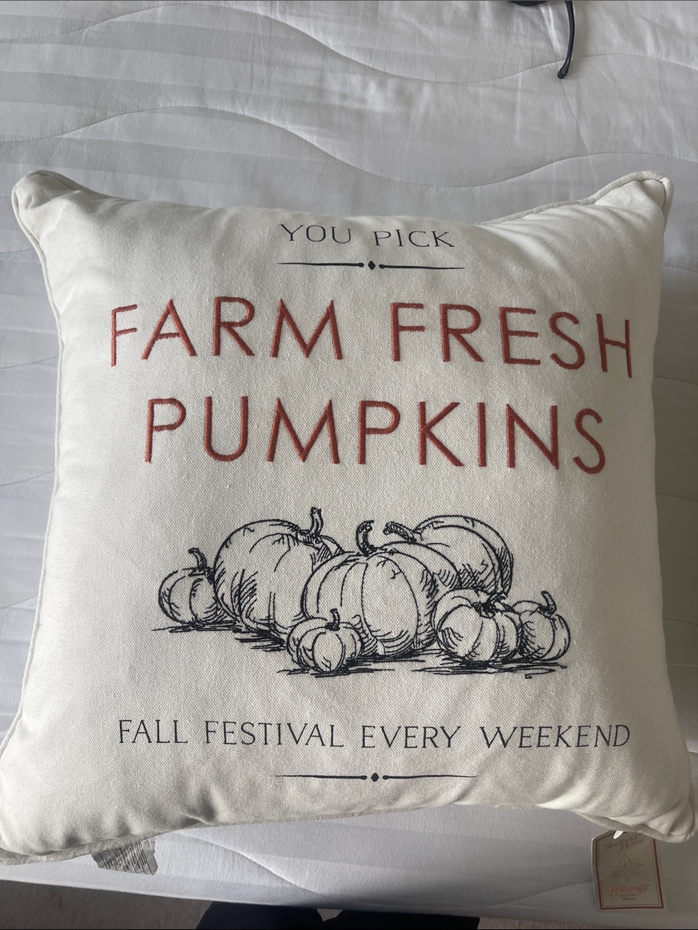 Sheffield Home Cream Pillow with Red 'Farm Fresh Pumpkins' Text